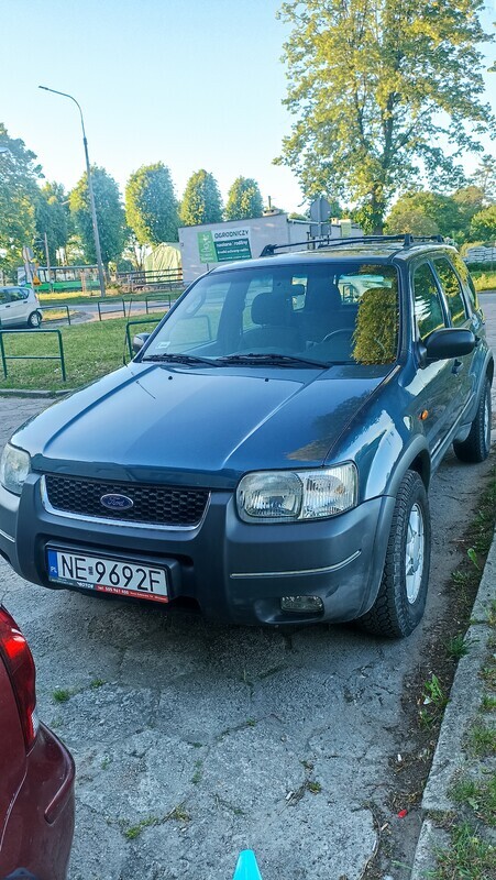 Zdjęcie główne 925239
