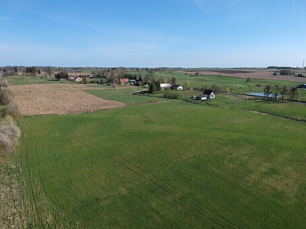 Zdjęcie główne 872073