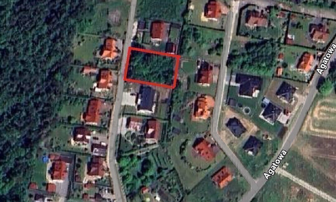 Zdjęcie główne 928243