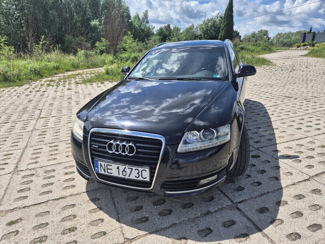 Zdjęcie główne 924254