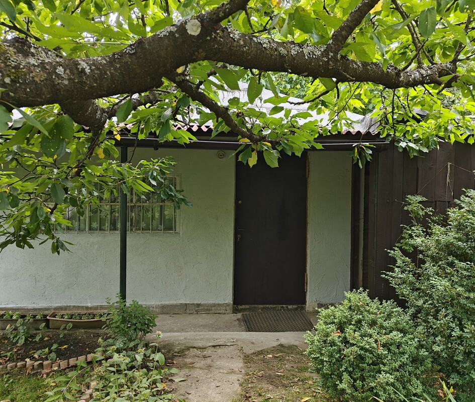 Zdjęcie główne 928305