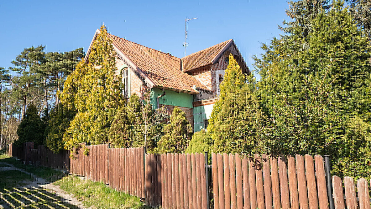 Zdjęcie główne 924373