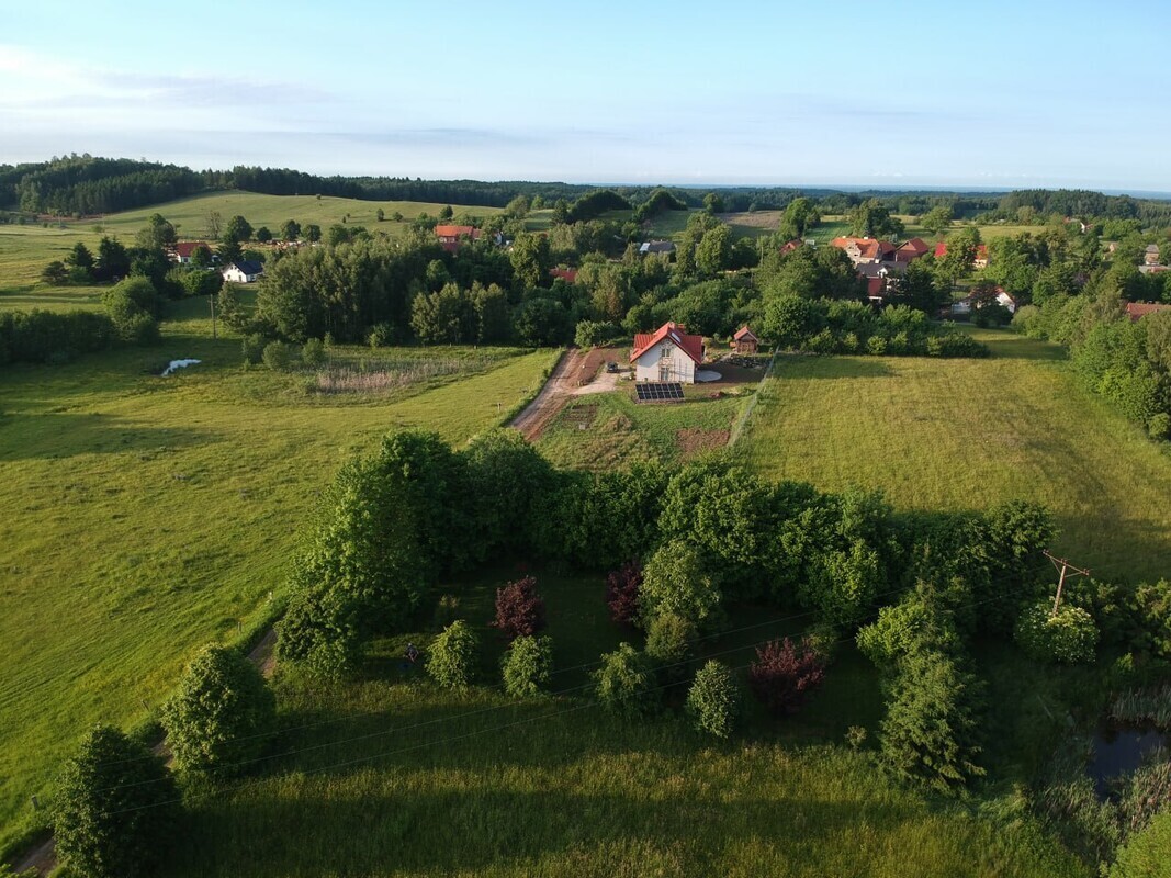 Zdjęcie główne 924755