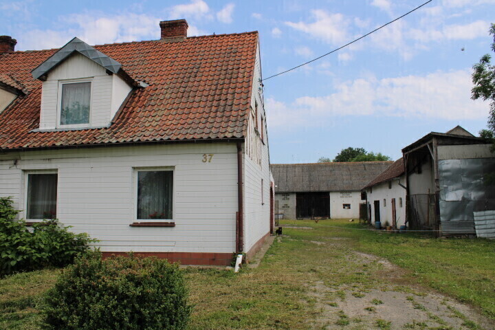 Zdjęcie główne 929043