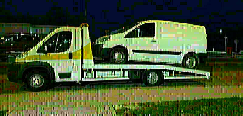 Zdjęcie główne 925269