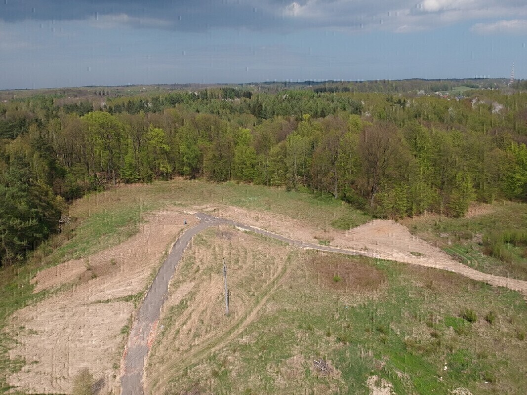 Zdjęcie główne 872076