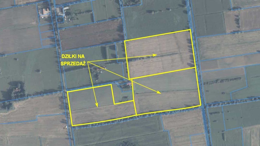 Zdjęcie główne 944010