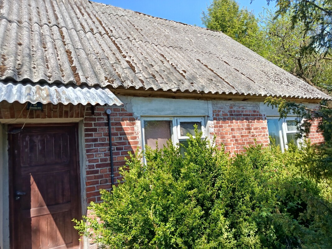 Zdjęcie główne 931419