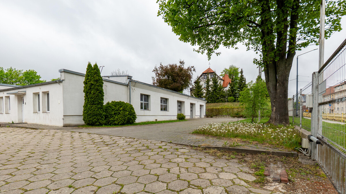 Zdjęcie główne 927661