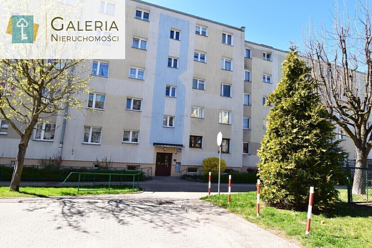 Zdjęcie główne 930995