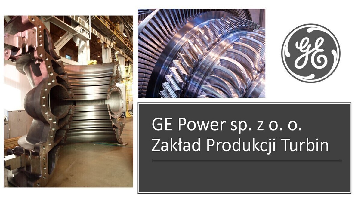 Zdjęcie główne 926121