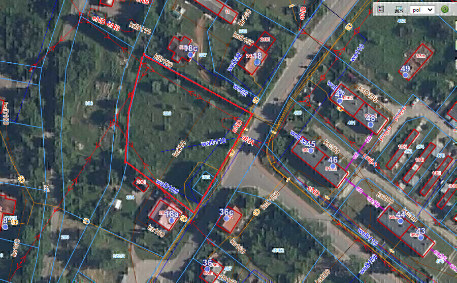 Zdjęcie główne 931820