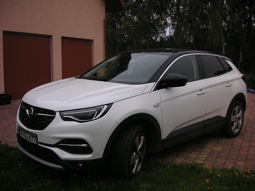 Zdjęcie główne 923732