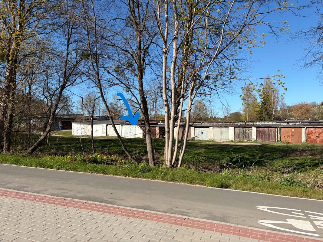 Zdjęcie główne 930774