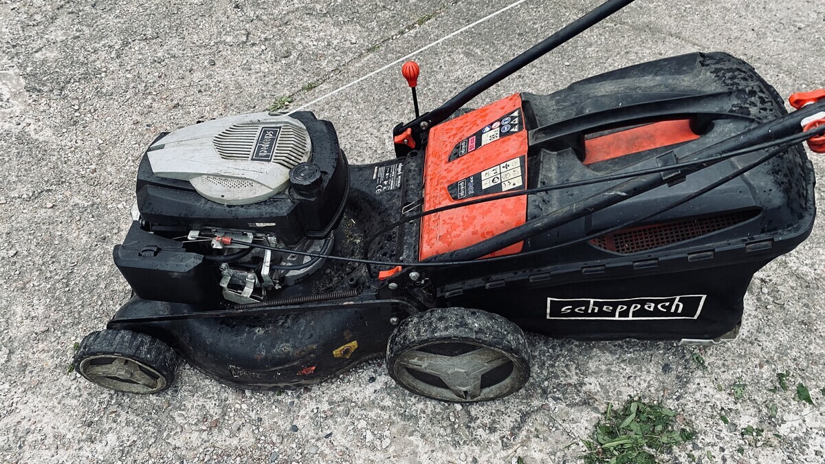 Zdjęcie główne 926302