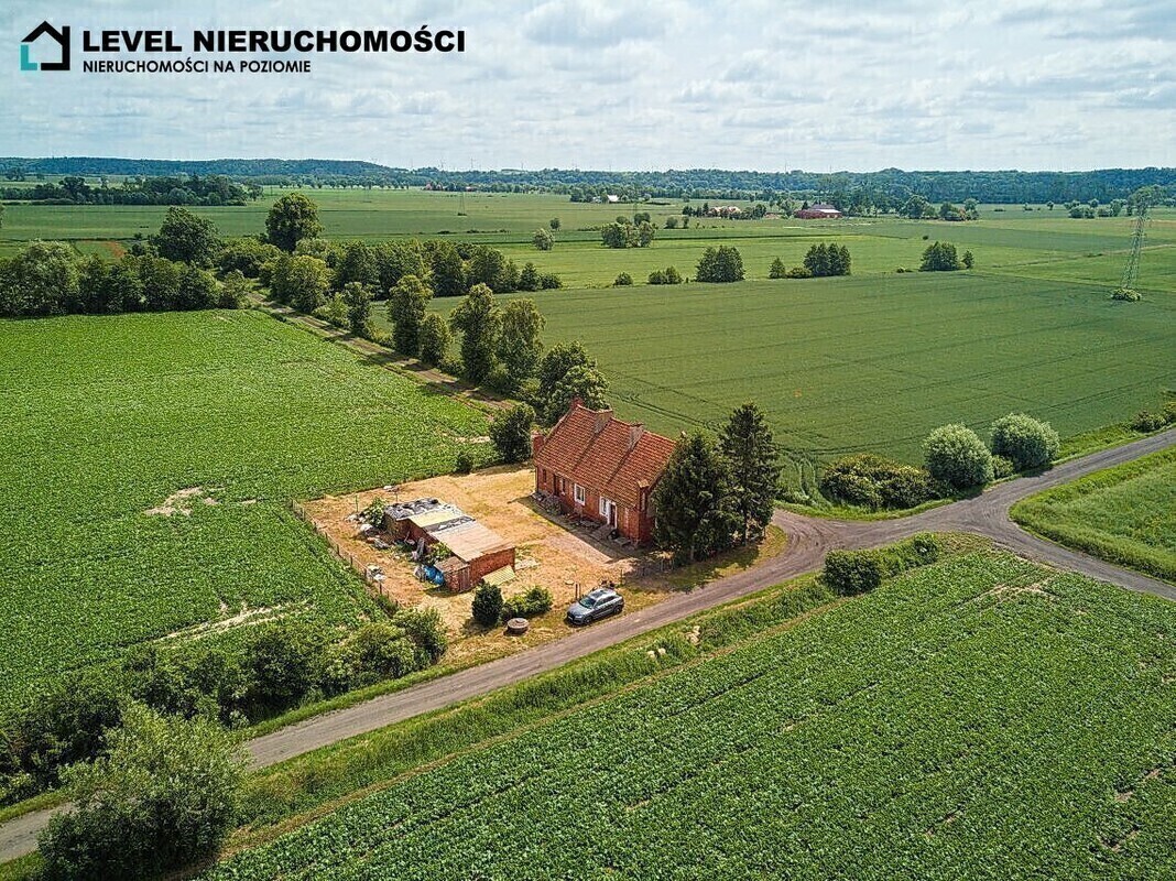 Zdjęcie główne 872682