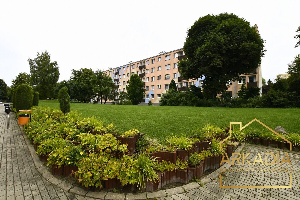 Zdjęcie główne 927495