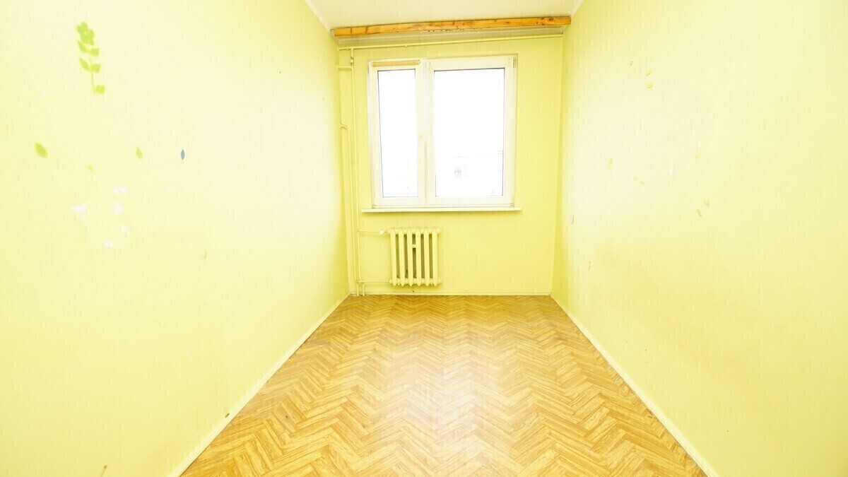 Zdjęcie główne 932963