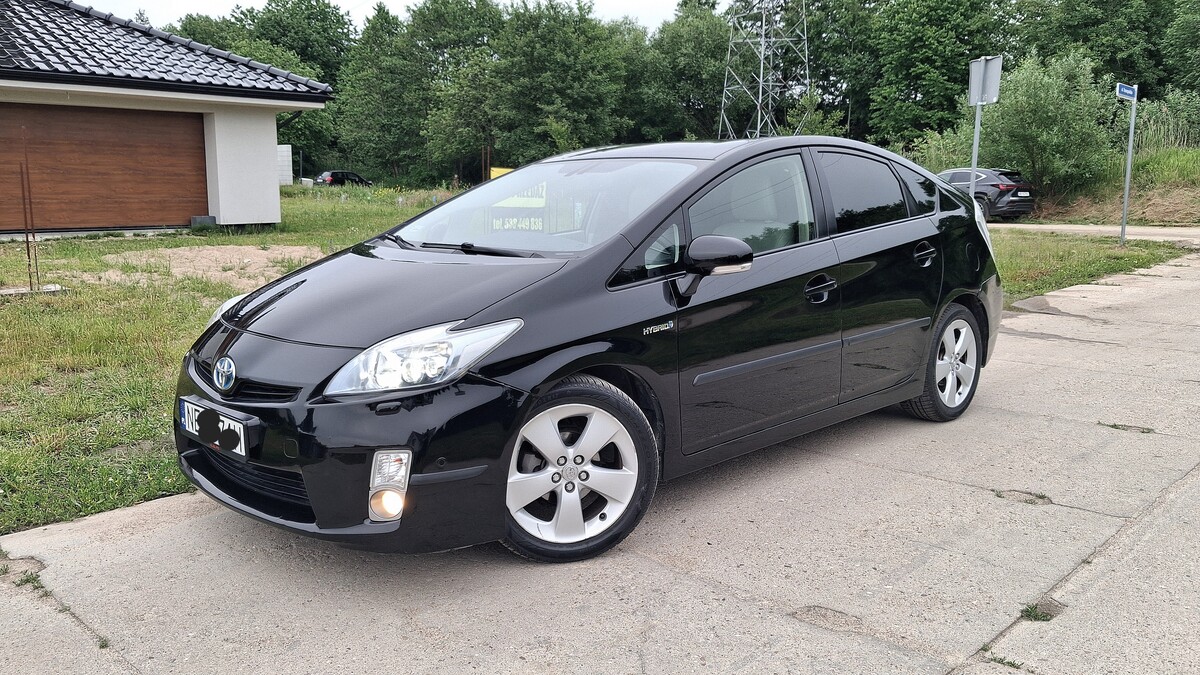 Zdjęcie główne 925928