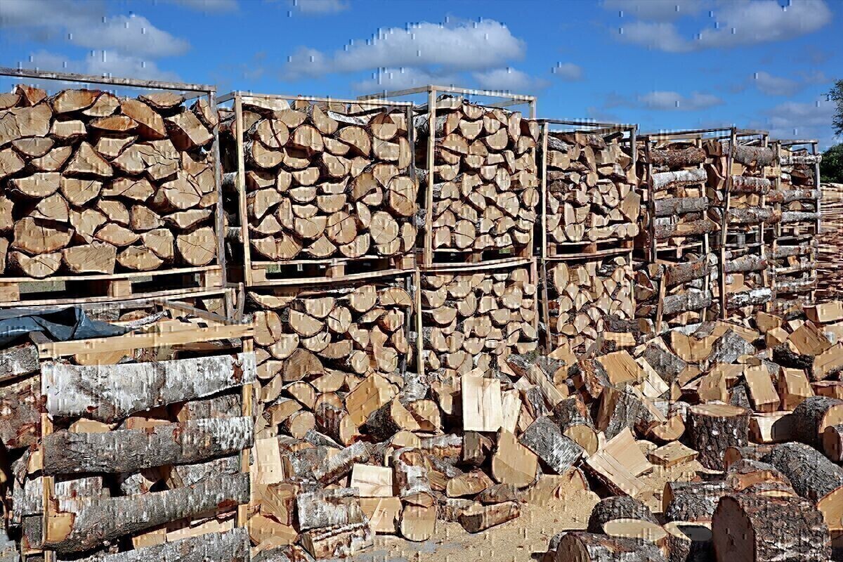Zdjęcie główne 925017