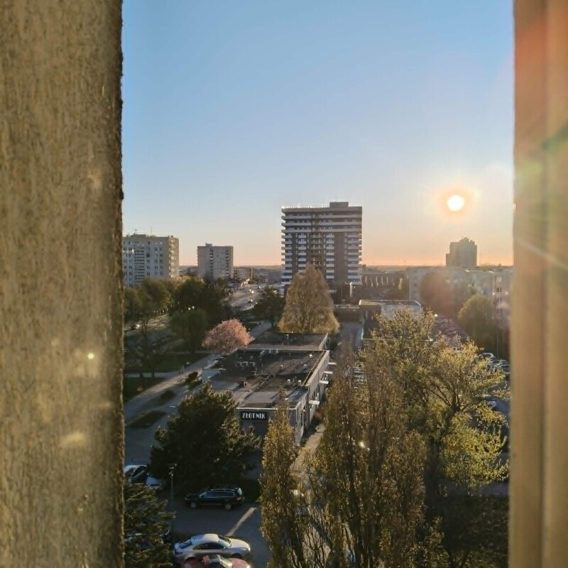 Zdjęcie główne 924857