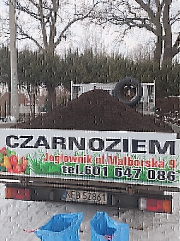 Zdjęcie główne 926619