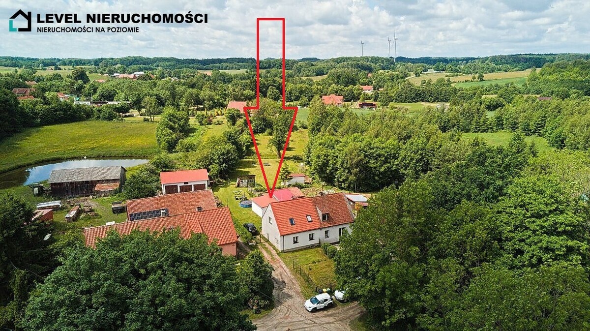 Zdjęcie główne 925995