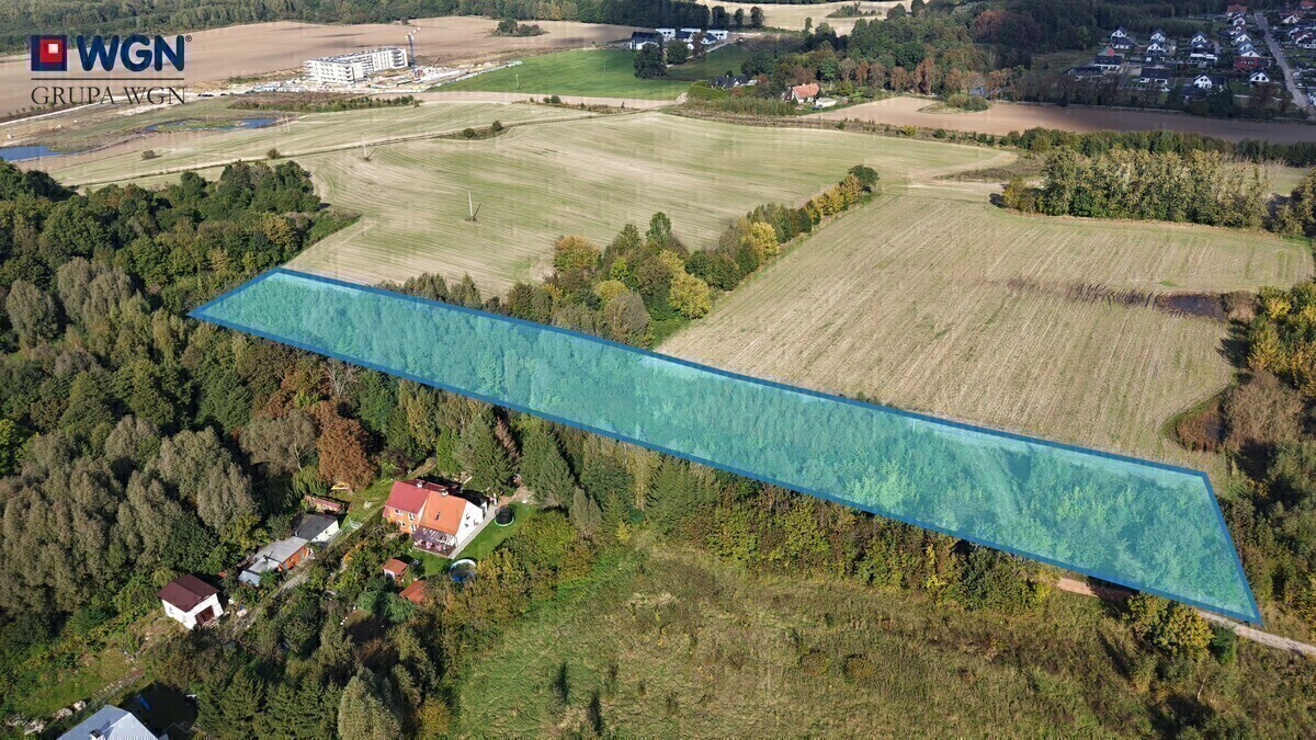 Zdjęcie główne 924812