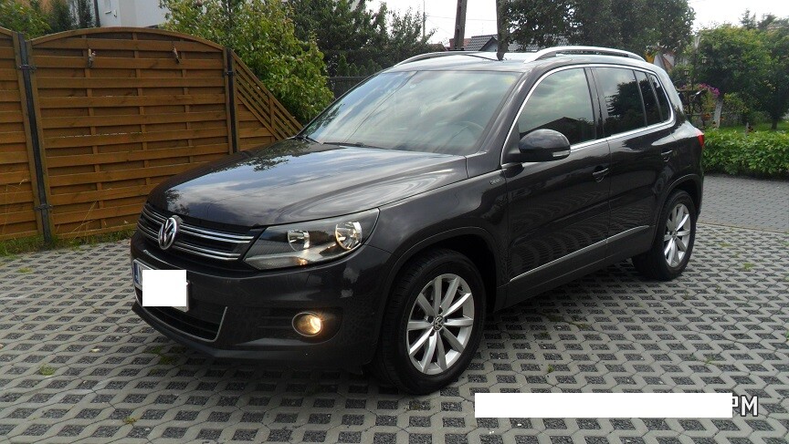 Zdjęcie główne 924605