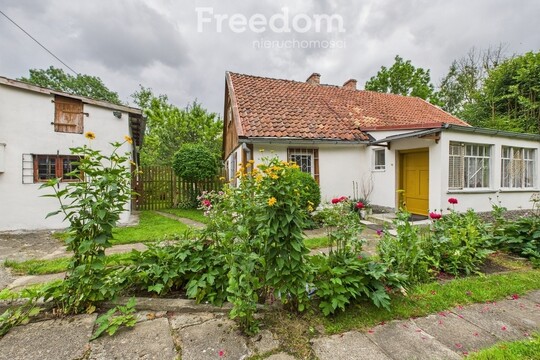 FREEDOM NIERUCHOMOŚCI Sprzedam dom - Nowy dwór gdański, 