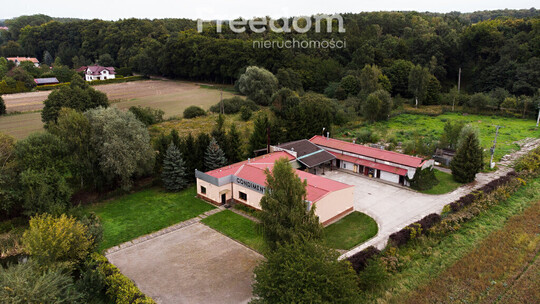 FREEDOM NIERUCHOMOŚCI Sprzedam lokal użytkowy - Elbląg, 