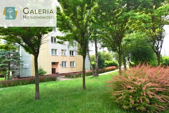 GALERIA NIERUCHOMOŚCI Z pasji i miłości do nieruchomości 