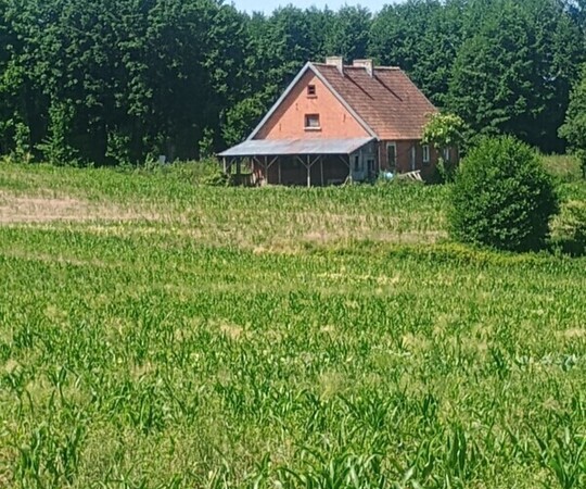 Sprzedam siedlisko we wsi Ząbrowiec koło Godkowa. Działka 
