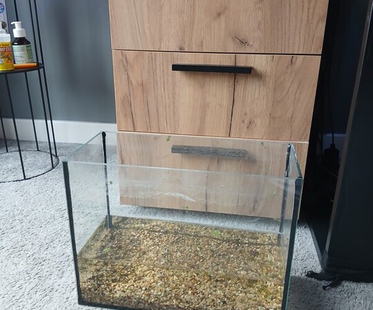 Oddam za darmo akwarium 10l prostokąt. Moge dac z zwirem i 