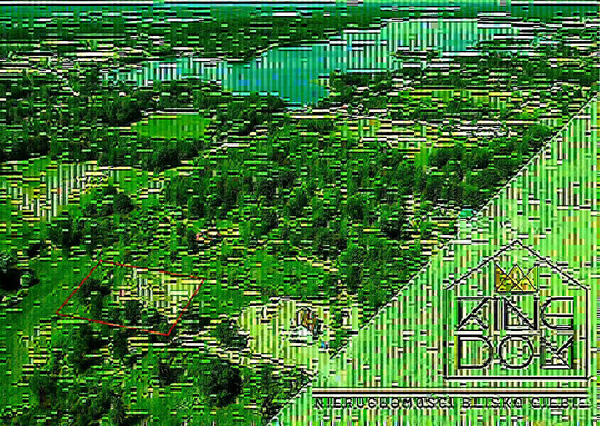 👑🏠KINGDOM 🏠👑 NIERUCHOMOŚCI 