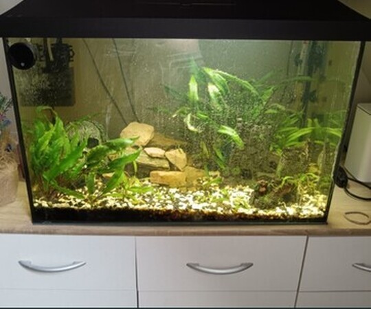 Witam. Sprzedam akwarium 80l. Jest na gwarancji jak znajdę 