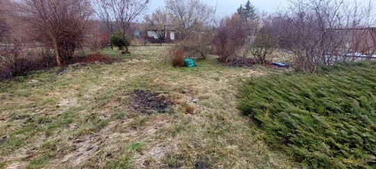 Działka ROD PRZYRODA ul. Malborska 
