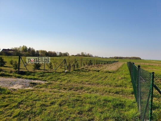Duża działka 3000 m2 - blisko Elbląga - dojazd asfaltowy - 