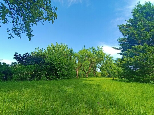 🌳 DZIAŁKA REKREACYJNO-WYPOCZYNKOWA ROD ELBLĄG UL. 