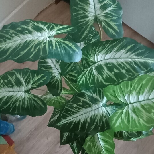 Na sprzedaż piękne sztuczne syngonium o wysokości 86 cm. 