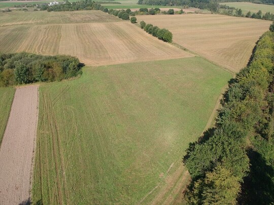 SZULC & SZULC BIURO NIERUCHOMOŚCI NA SPRZEDAŻ Działka 