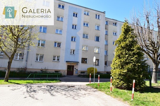 GALERIA NIERUCHOMOŚCI Z pasji i miłości do nieruchomości 