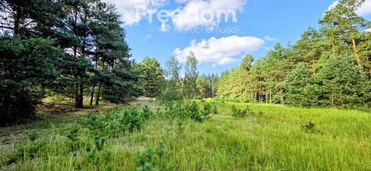 FREEDOM NIERUCHOMOŚCI Sprzedam działkę - Sztumskie pole, 