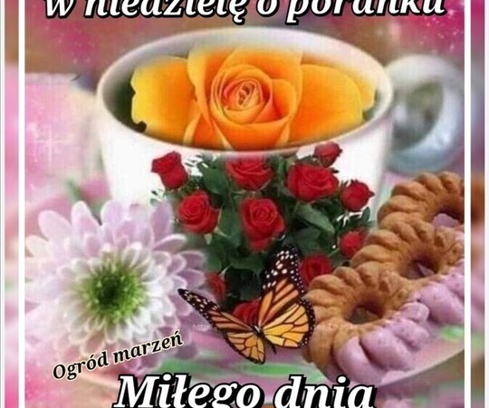 Witam serdecznie poznam kobietę na spacer lub rowery 