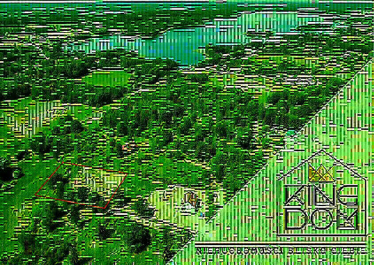👑🏠KINGDOM 🏠👑 NIERUCHOMOŚCI 