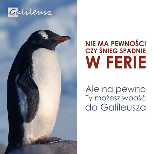 FERIE z Galileuszem Elbląg. Oferta dla MATURZYSTÓW 