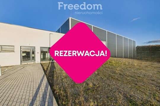 FREEDOM NIERUCHOMOŚCI Sprzedam lokal użytkowy - Elbląg, 