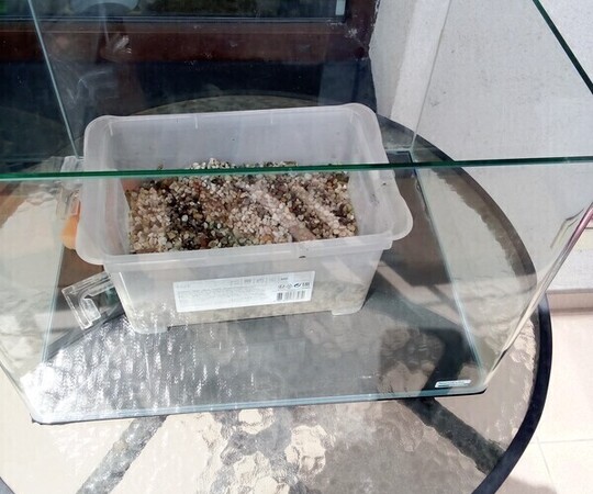 Witam, sprzedam akwarium 35l, firmy Dennerle z pokrywą 