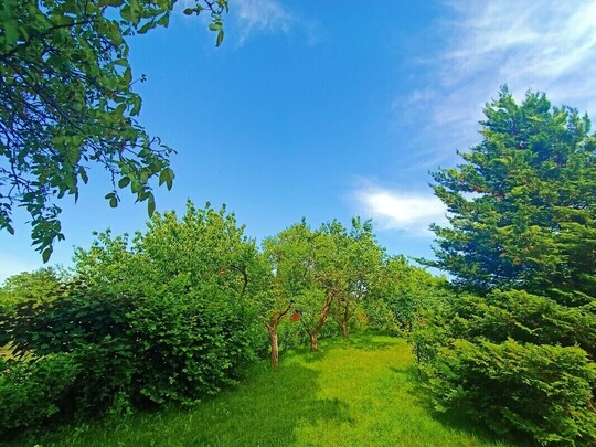 🌳 DZIAŁKA REKREACYJNO-WYPOCZYNKOWA ROD ELBLĄG UL. 