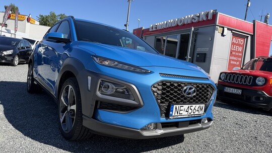 Auto Leew LEWANDOWSKI Kupujemy i Sprzedajemy tylko dobre 